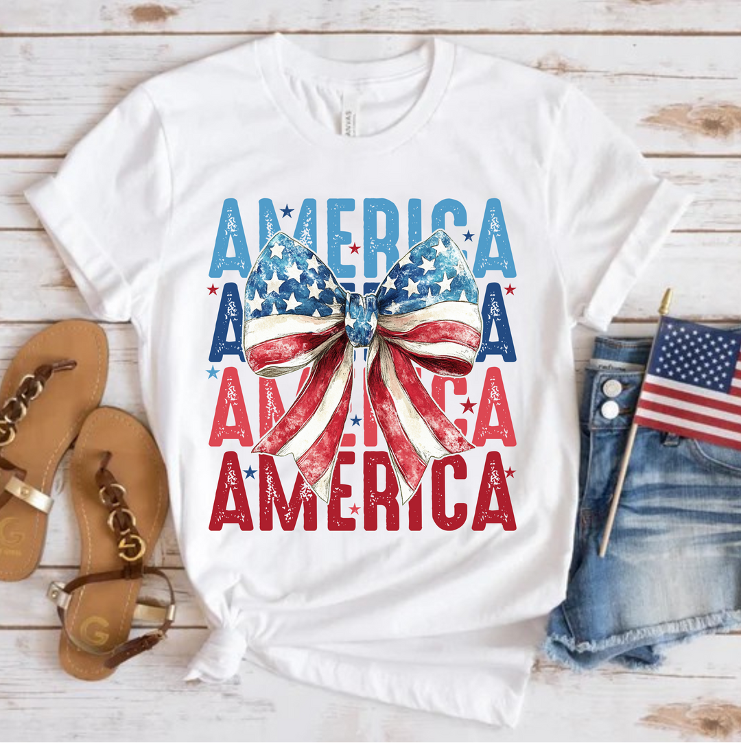 America Patriotic Graphic Comfy T-Shirt